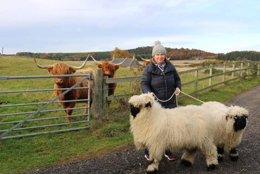 Vila Glampods Glamping Pod - Meet Highland Cows And Sheep Elgin Exteriér fotografie