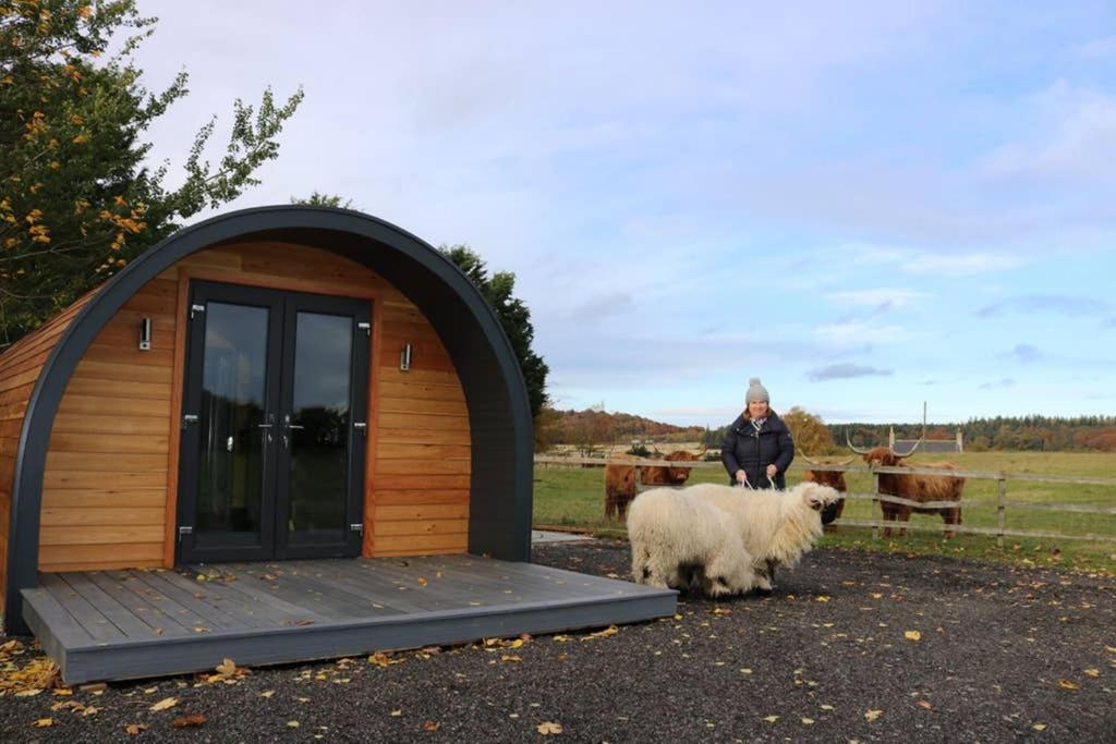 Vila Glampods Glamping Pod - Meet Highland Cows And Sheep Elgin Exteriér fotografie