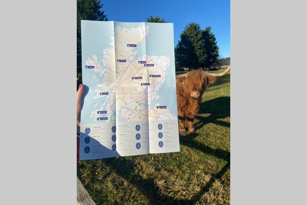 Vila Glampods Glamping Pod - Meet Highland Cows And Sheep Elgin Exteriér fotografie