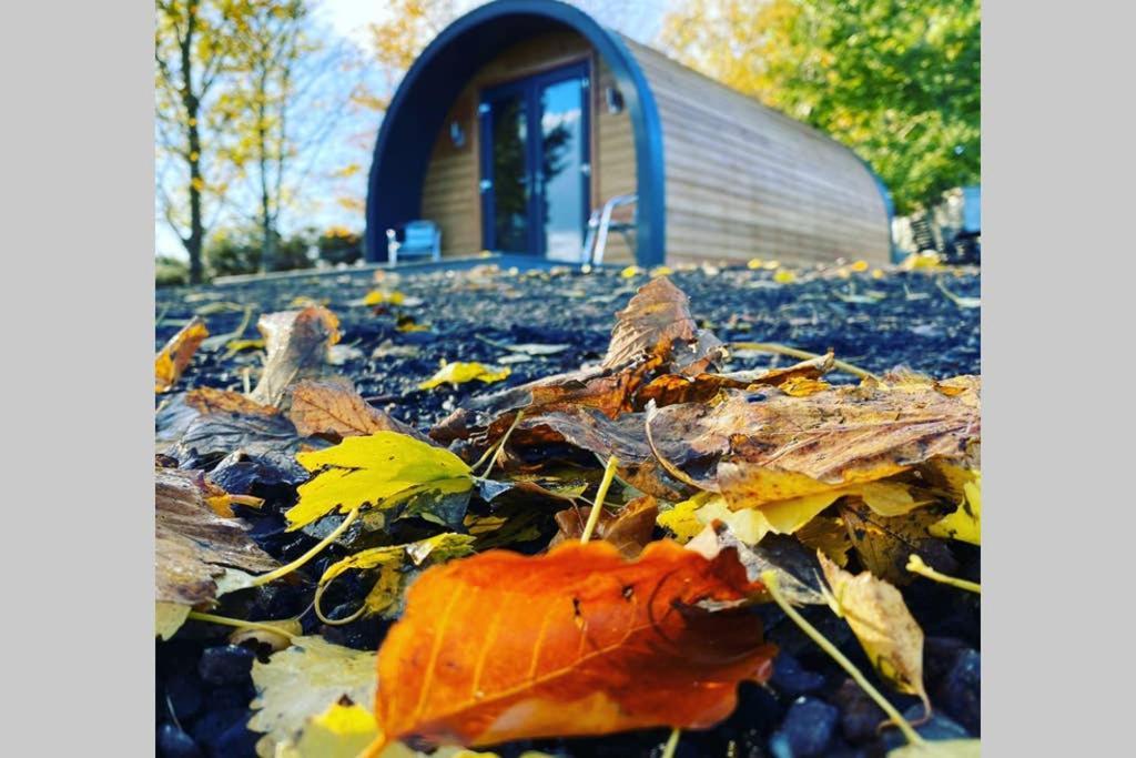 Vila Glampods Glamping Pod - Meet Highland Cows And Sheep Elgin Exteriér fotografie